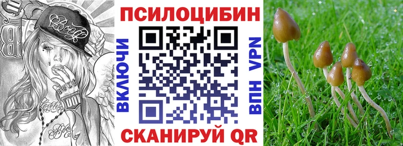 Псилоцибиновые грибы мухоморы  Богородицк 